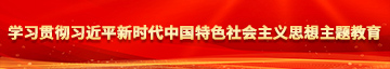 射逼学习贯彻习近平新时代中国特色社会主义思想主题教育